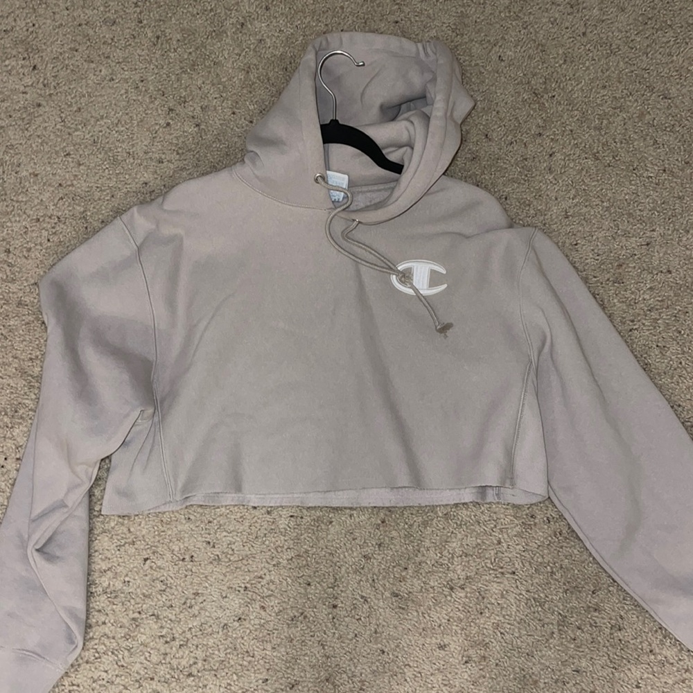 Champion cropped hoodie